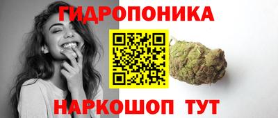 соль ск Бийск