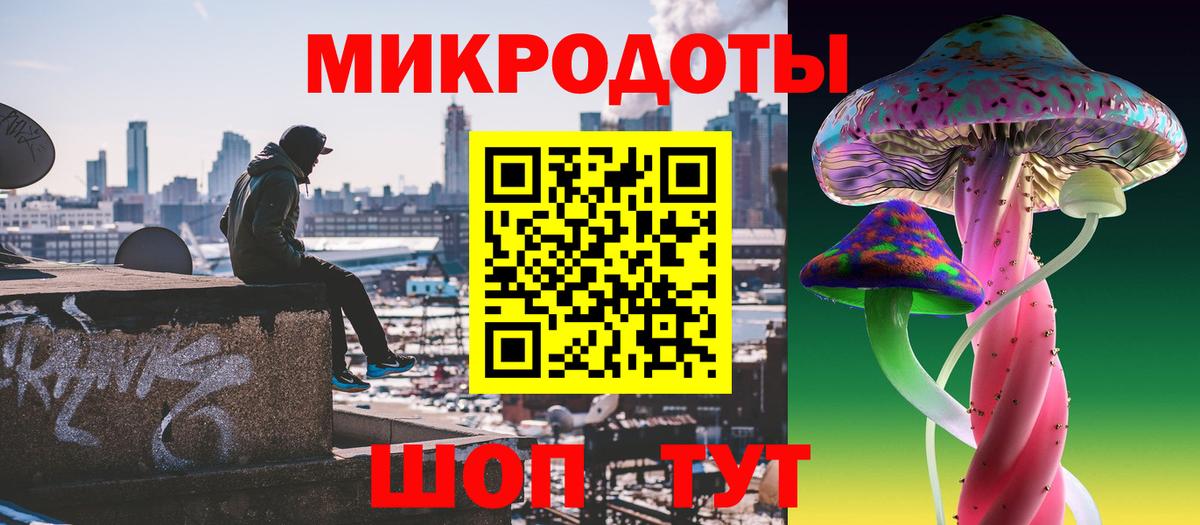 Киселёвск  Галлюциногенные грибы Cubensis  Вход с VPN 