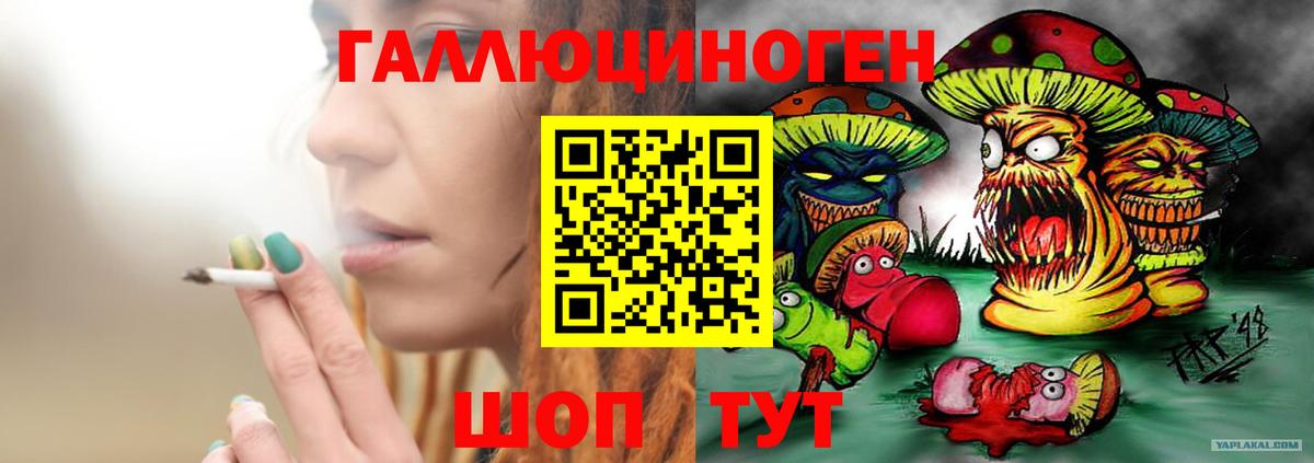 Галлюциногенные грибы MAGIC MUSHROOMS Киселёвск